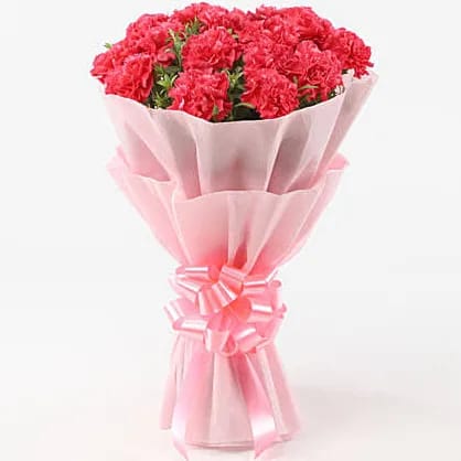 Magical pink carnations boquet