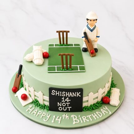 Cricket Pitch Champion